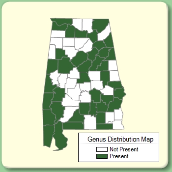 Genus Distribution Map