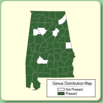 Genus Distribution Map