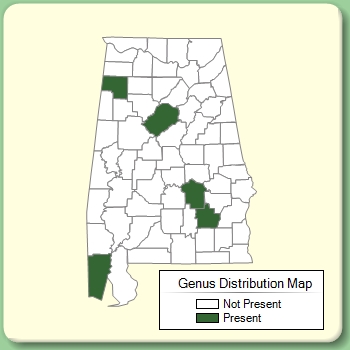 Genus Distribution Map