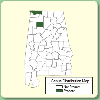 Genus Distribution Map