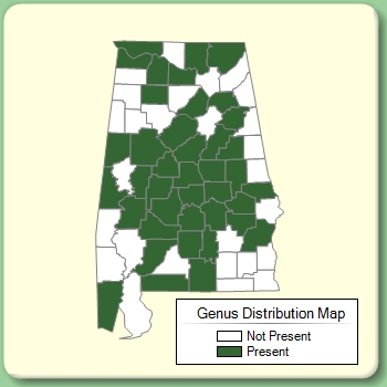 Genus Distribution Map