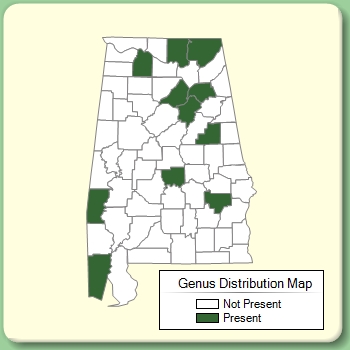 Genus Distribution Map