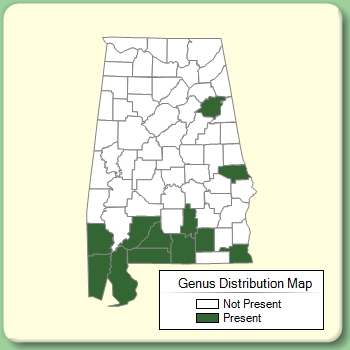 Genus Distribution Map