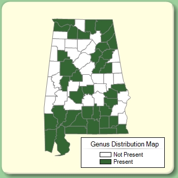 Genus Distribution Map