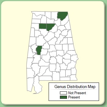 Genus Distribution Map