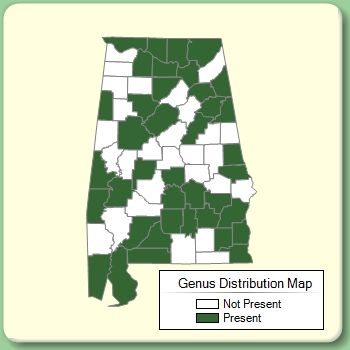 Genus Distribution Map