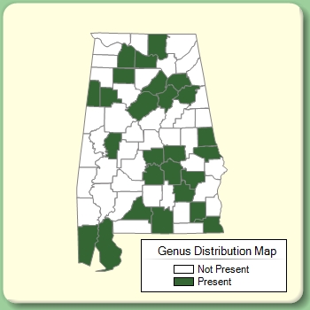 Genus Distribution Map