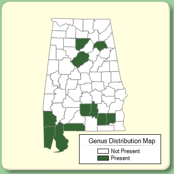 Genus Distribution Map