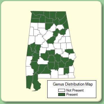 Genus Distribution Map