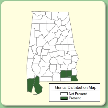 Genus Distribution Map