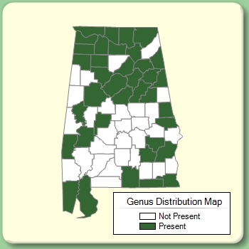 Genus Distribution Map