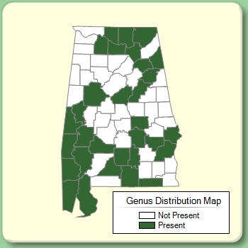 Genus Distribution Map