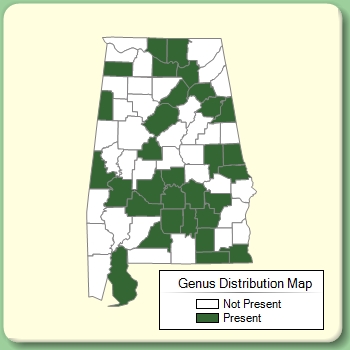 Genus Distribution Map