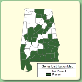 Genus Distribution Map