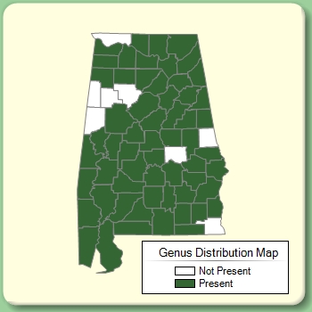 Genus Distribution Map