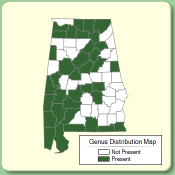 Genus Distribution Map