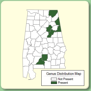 Genus Distribution Map