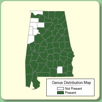 Genus Distribution Map