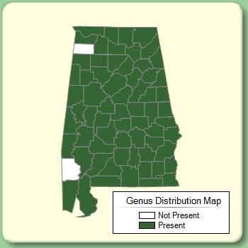 Genus Distribution Map