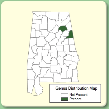 Genus Distribution Map