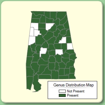 Genus Distribution Map