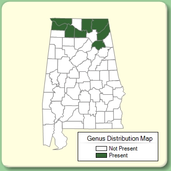 Genus Distribution Map