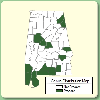 Genus Distribution Map