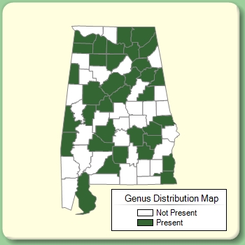 Genus Distribution Map