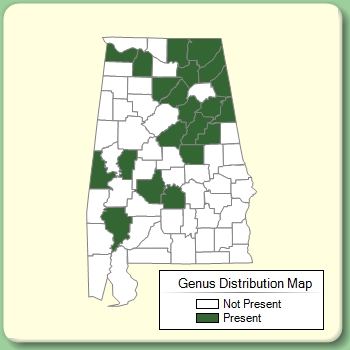 Genus Distribution Map