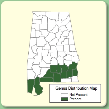 Genus Distribution Map