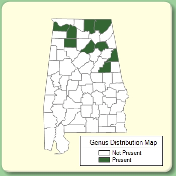 Genus Distribution Map