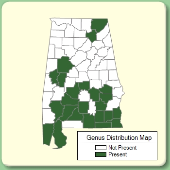 Genus Distribution Map