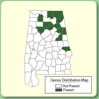 Genus Distribution Map