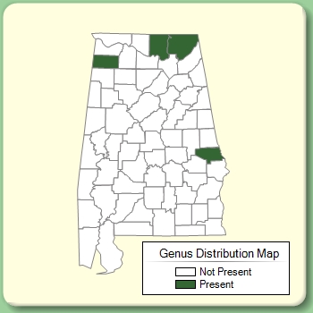 Genus Distribution Map