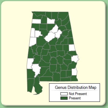 Genus Distribution Map