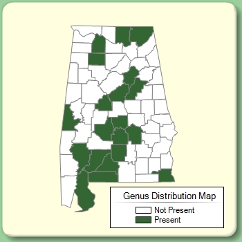 Genus Distribution Map