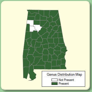 Genus Distribution Map