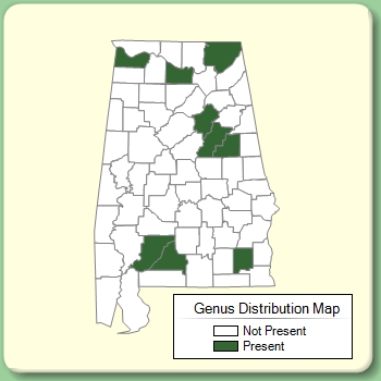 Genus Distribution Map