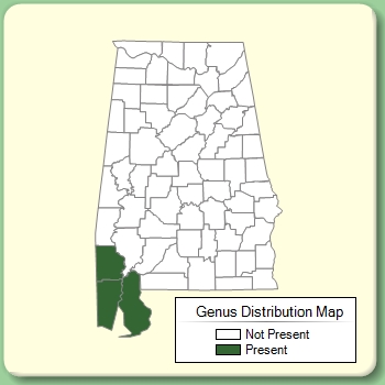 Genus Distribution Map