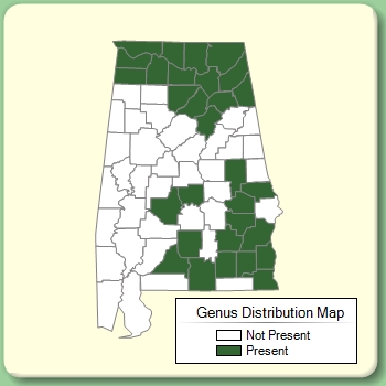 Genus Distribution Map