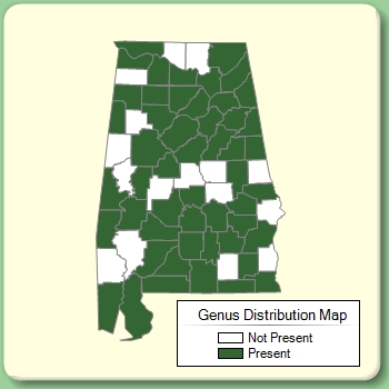 Genus Distribution Map