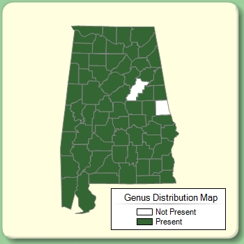 Genus Distribution Map