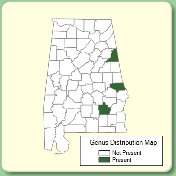 Genus Distribution Map