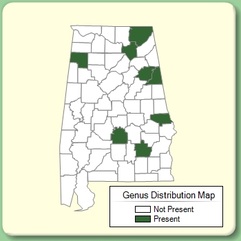 Genus Distribution Map