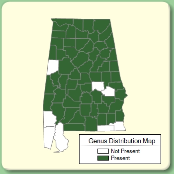 Genus Distribution Map