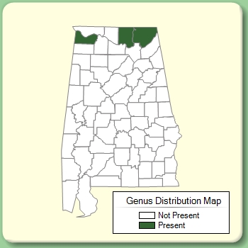 Genus Distribution Map