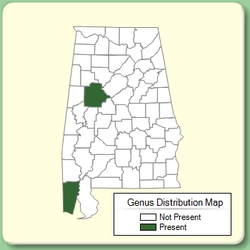 Genus Distribution Map