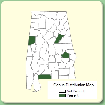 Genus Distribution Map