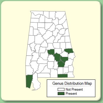 Genus Distribution Map