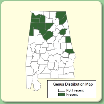 Genus Distribution Map